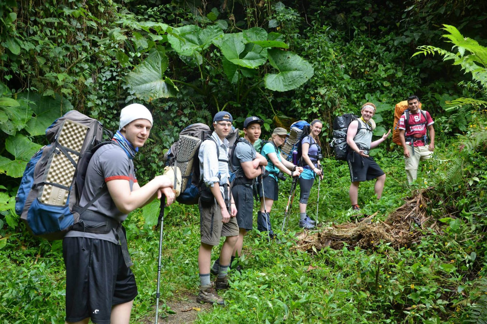 2-2_programa_internado_EEUU_extracurriculares_hiking_rainsforest_hebron_1920px_tiny