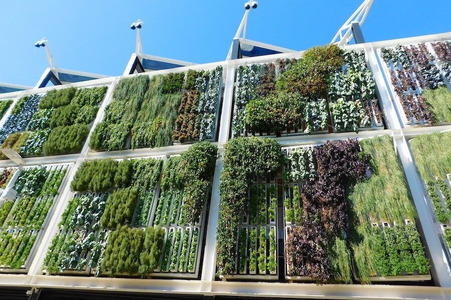 reducir huella carbono