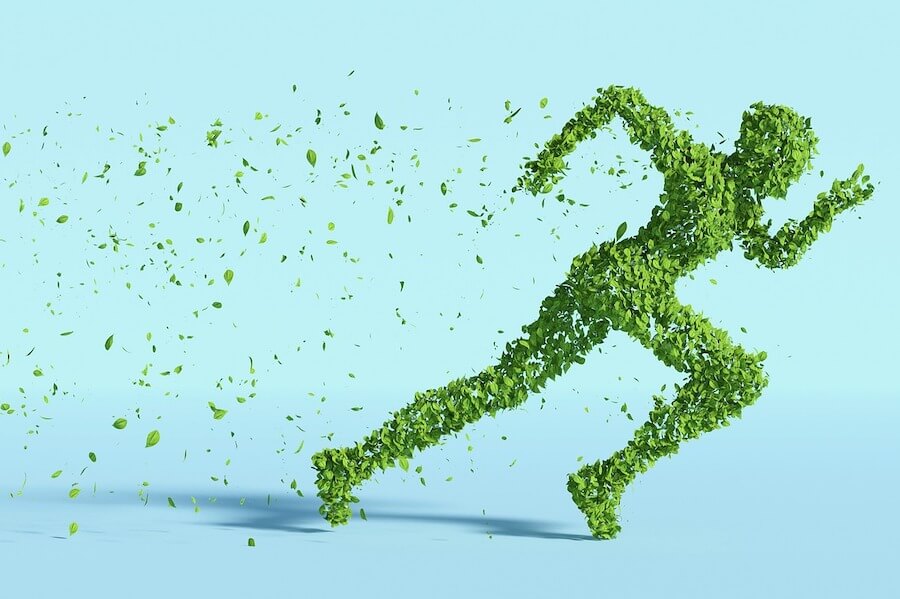 corredor hecho de hojas