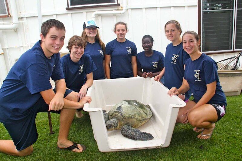 internados de EE.UU.